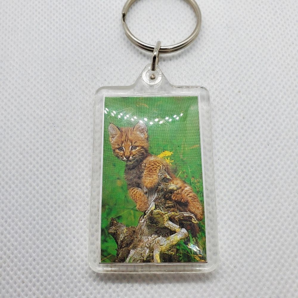 Bobcat Kitten Keychain 